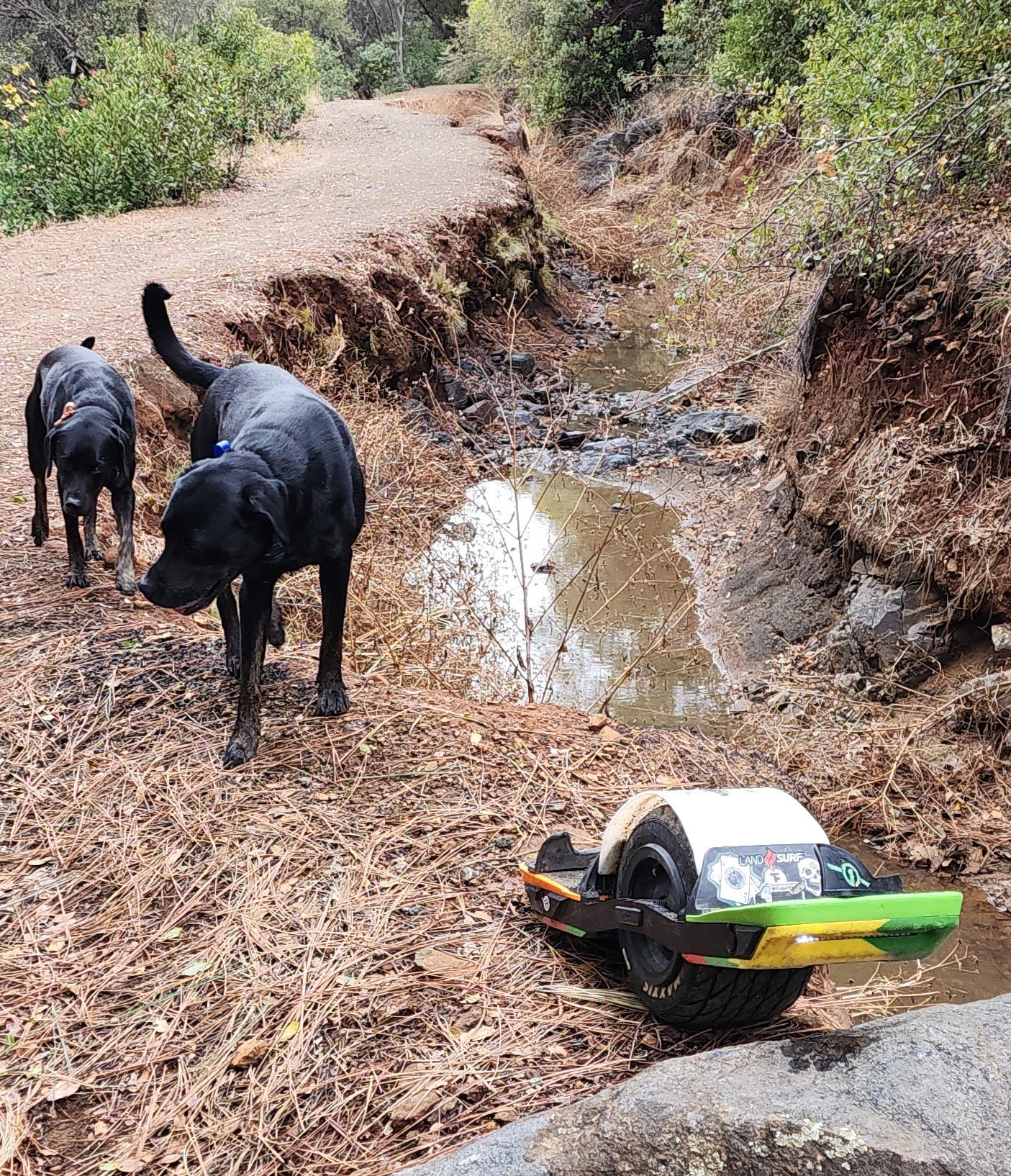 Rocket, River and Argos